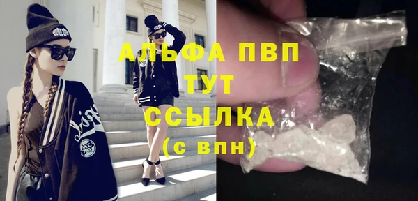 прущие крисы Гусев