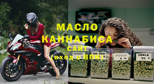 хмурый Дмитров