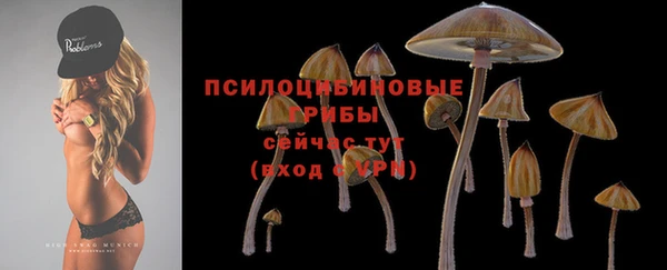 MESCALINE Гусиноозёрск