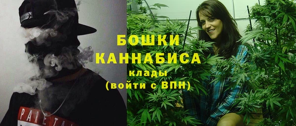 хмурый Дмитров