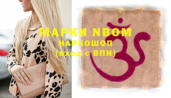 хмурый Дмитров