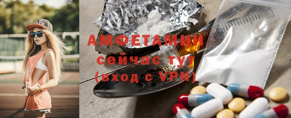 гидропоника Гусь-Хрустальный